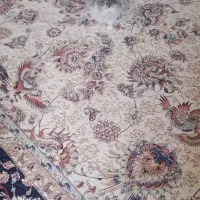 خرگوش|موش و خرگوش|اصفهان, رکن الدوله غربی|دیوار