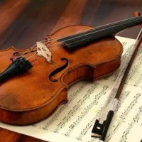 آموزش خصوصی ویولن در آموزشگاه
