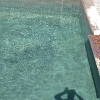 فروش یک قطعه باغ درسردرود،شیخ حسن