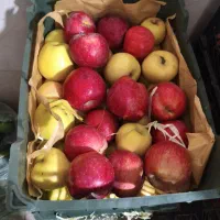 کارگر افغانی ساده