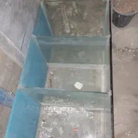 فروش لوازم ماهی