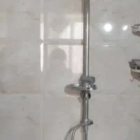 سلام ، دو عدد شیر کاملا سالم و تمیز