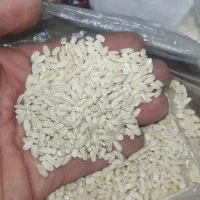 لوبیا ، نخود،  لپه ، عدس ، گندم|خوردنی و آشامیدنی|کرج, مصباح|دیوار