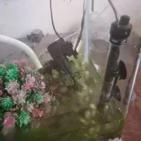 آکواریوم بزرگ کاملا سالم|ماهی|تهران, شمس‌آباد|دیوار