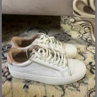 کفش|کیف، کفش، کمربند|گنبد کاووس, |دیوار