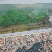 اکواریوم ۱۱۰سانتی ارتفاع ۶۰سانت و بدون آب ریزی