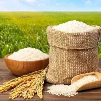 برنج هاشمی گیلان کف قیمت بازار با ضمانت مرجوعی