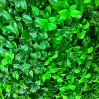 کفپوش تی وی وال گرین وال چمن مصنوعی|مصالح و تجهیزات ساختمان|فردیس, |دیوار