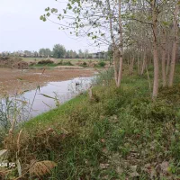 فروش زمین ۶۰۰۰ متری در گالشکلام