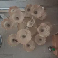 لوسترشیک وزیبا