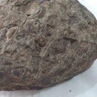 یک عدد مشکوک به شهاب سنک کمیاب