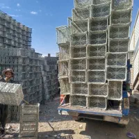 سبد گوجه و سیب