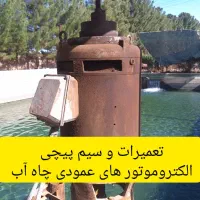 تعمیرات بالابر پمپ آب در محل|خدمات پیشه و مهارت|سیرجان, |دیوار