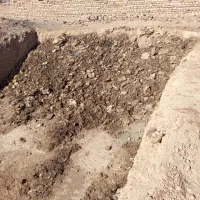 کود مرغ|لوازم جانبی حیوانات|سبزوار, قصبه شرقی|دیوار