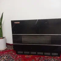 بخاری سالم
