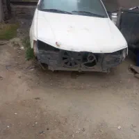 تصادفی و اسقاطی