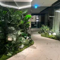 (شامادورا) بوته 18 برگ انجیری فلاورباکس درختچه ایی|گل مصنوعی|تهران, بروجردی|دیوار