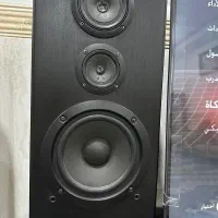 اسپیکر پایونیر