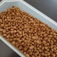 غذای اسپانیایی گربه بالغ
