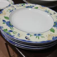 ظروف غذاخوری