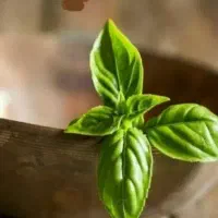 مشورت سرمایه*
