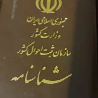 شناسنامه گم شده