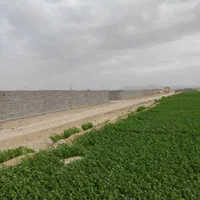زمین کشاورزی،باغ،گاوداری،تیمیارت|فروش زمین و ملک کلنگی|اصفهان, شاهزید|دیوار