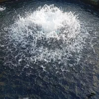 استخدام نگهبان