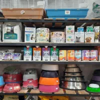 تجهیزات سگ وگربه