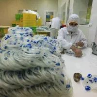 پذیرش اجزای فعال در واحد تولیدی|استخدام صنعتی، فنی، مهندسی|فومن, |دیوار