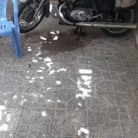 متور ایژ