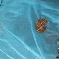 ساری   پولک دوزی شده