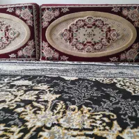 دو جفت پشتی