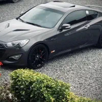 جنسیس کوپه 2013