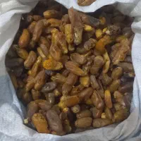 خرما ضایعاتی