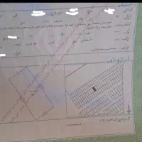 فروش زمین  هفت ونیم قصب بلدالامین