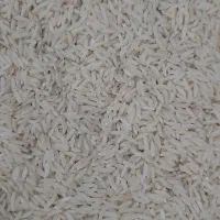 برنج هاشمی خالص|خوردنی و آشامیدنی|شفت, |دیوار