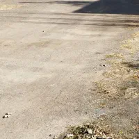 زمین برجاده اصلی بعد مریانج(دارای تغییرکاربری)