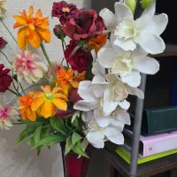 همراه برای مادر سالمند