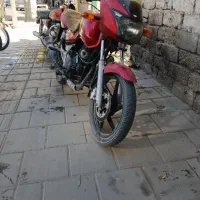 موتور پالس|موتورسیکلت|ملکان, |دیوار