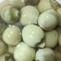 ترشی سپستان.بندری.کلم قرمز.|خوردنی و آشامیدنی|ایرانشهر, |دیوار