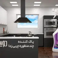 چربی زدا چند منظوره دوسی|مواد شوینده و دستمال کاغذی|شهرکرد, |دیوار