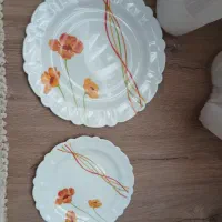 ظروف آیروپال آرکوپال  فروش/معاوضه