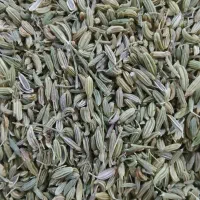 رازیانه|خوردنی و آشامیدنی|هشتگرد, ینگی امام|دیوار