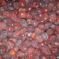 عناب|عمده‌فروشی|قائن, |دیوار