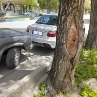 ساینا دو گانه سوز معاوضه با خودرو