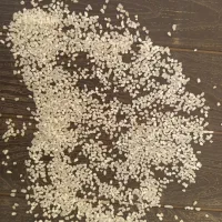 نیم دانه مختار هاشمی