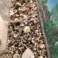 آکواریوم ساده و شرکتی ماهیران بسیار تمیز|ماهی|اصفهان, آهنگران|دیوار