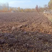 باغ بالاتر از رحیم لینچان|فروش زمین و ملک کلنگی|فیرورق, |دیوار