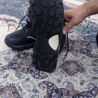 کفش کوهنوردی اروپایی|کوهنوردی و کمپینگ|سقز, |دیوار